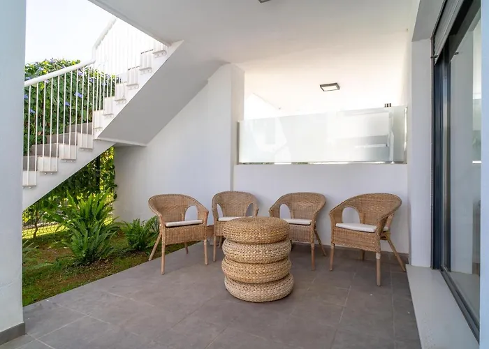 Premium Mangos Casasol *