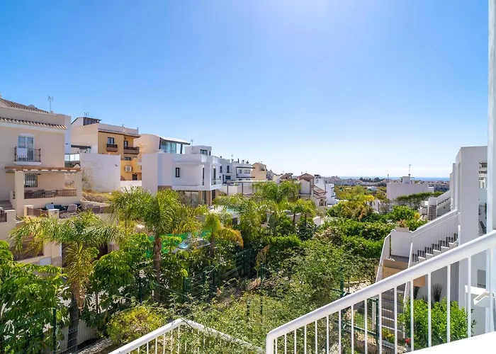 Premium Mangos Casasol