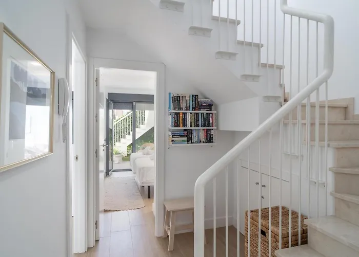 Premium Mangos Casasol *