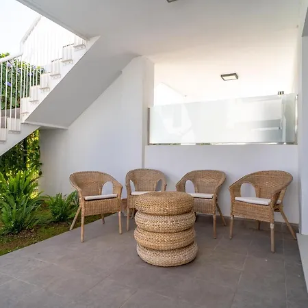 Premium Mangos Casasol *