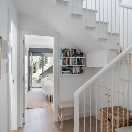 Premium Mangos Casasol *