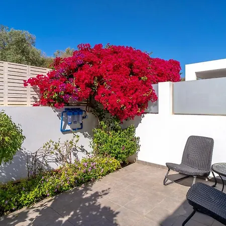 Premium Mangos Casasol *