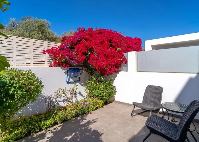 Premium Mangos Casasol *